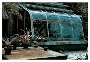 Greenhouses are great environments for growing bromeliads.