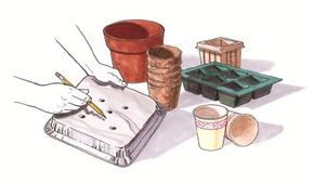 开始时选择正确的容器植物种子在室内。”width=