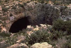 National Parks Image Gallery Each night, about 250,000 bats fly out of the gaping natural entrance to Carlsbad Caverns and spread out across the desert in search of flying insects. See more pictures of national parks.