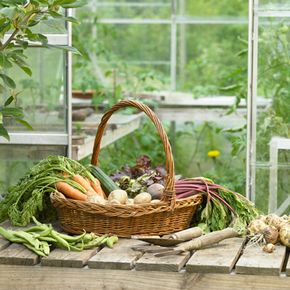 Eating plenty of vegetables helps keep you healthy.