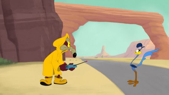 Wile E. Coyote Never Had a Chance Against Roadrunner
