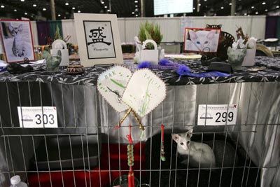 cat sitting in decorated cage at cat show