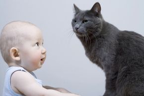 A baby looking at a cat.