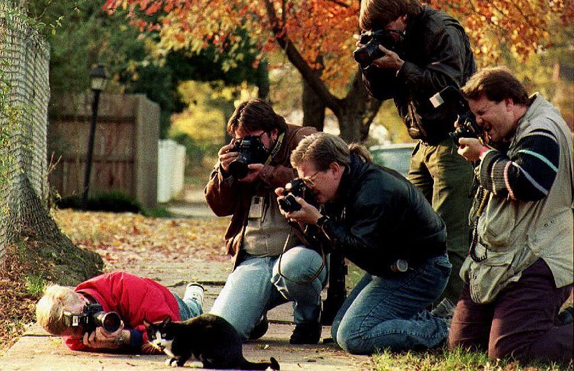 Photographers surround poor Socks, then-President-Elect Bill Clinton's cat outside the governor's mansion in Arkansas, 1992. The cat was such a  favorite with the press, the Clintons had to ask them to leave him alone. MIKE NELSON/AFP/Getty Images