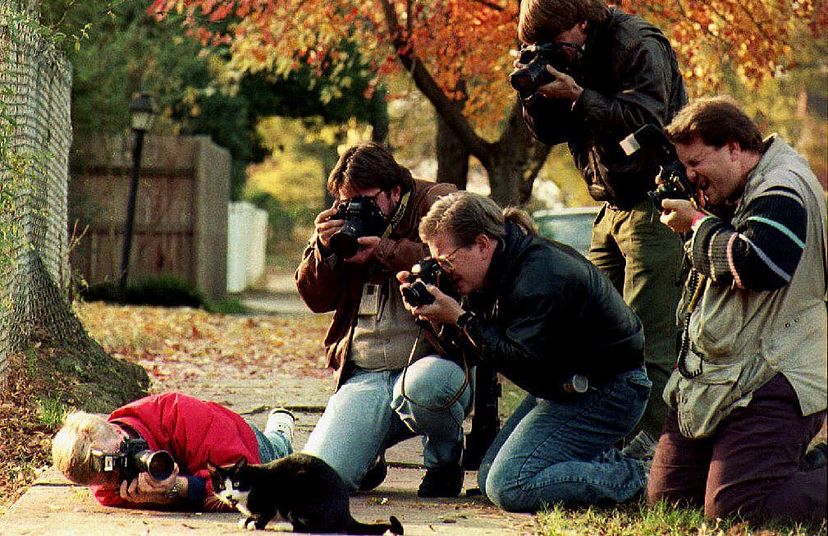 Photographers surround poor Socks, then-President-Elect Bill Clinton's cat outside the governor's mansion in Arkansas, 1992. The cat was such a  favorite with the press, the Clintons had to ask them to leave him alone.Mike Nelson/AFP/Getty Images“border=