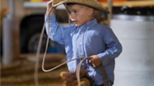 How Cattle Sorting and Penning Work