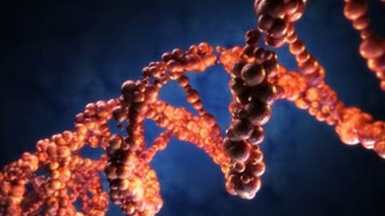 导致DNA突变的原因是什么?”width=