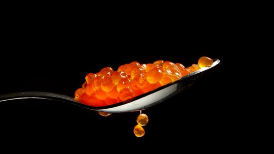 18新利最新登入鱼子酱是如何工作的”width=