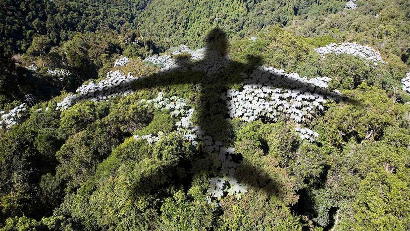 plane shadow