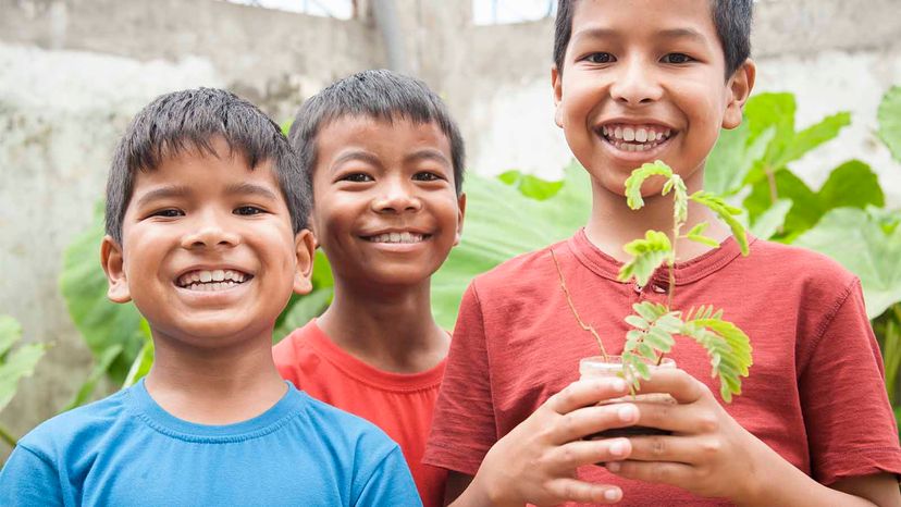 boys holding tree sapling