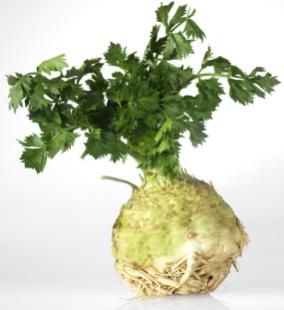 Vegetables Image Gallery  iStockphoto Celeriac is a form of celery. See more pictures of vegetables.