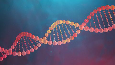 How DNA Works - Vimarsana News
