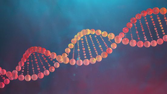 How DNA Works