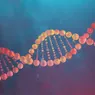 How DNA Works