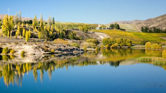 Ultimate Guide to the Central Otago Wine Region