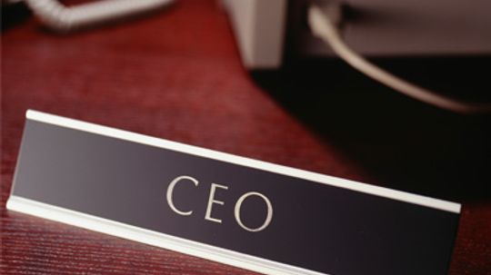 How CEOs Work