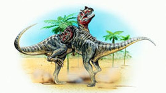 Ceratosaurus“border=