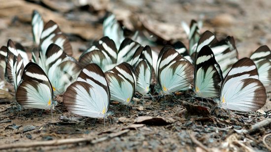 混沌不是随机:一个复杂系统科学家解释＂class=