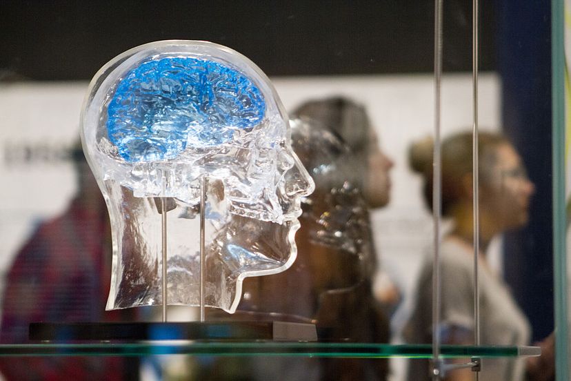 A glass head holds a neural interface sensor developed by DARPA, which reads signals from the brain and stimulates neurons to combat memory loss. DARPA is investing in chemical sensing research. Stacey Rupolo/Chicago Tribune/TNS via Getty Images