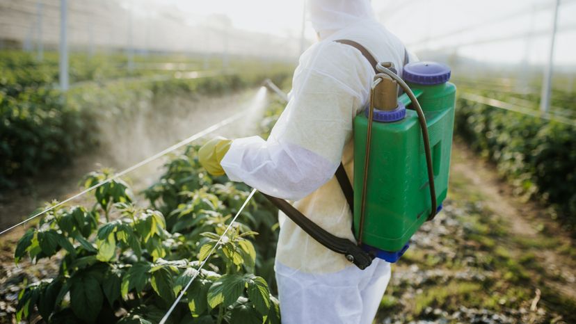 Agricultural worker takes care of his estate.