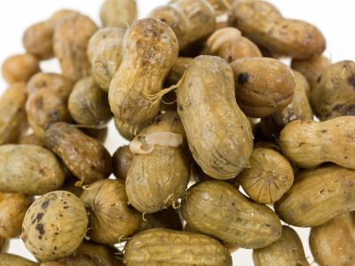 pile of boiled peanuts