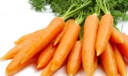 close-up of carrots