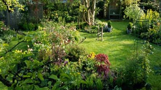 10 Cheap Ways to Landscape