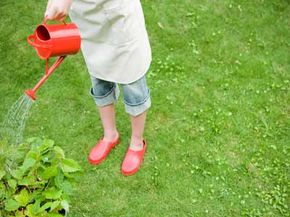 woman watering plants