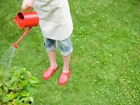 Tend to your lawn and garden regularly in order to preserve the initial time and money you invested.