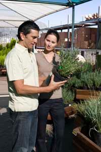 couple shopping for plants