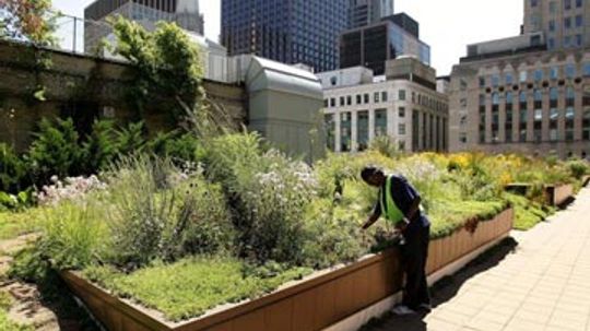 What's the least expensive way to green your roof?