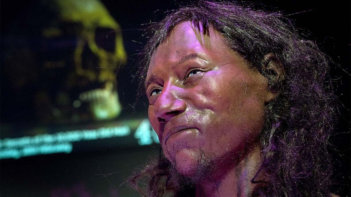 Mesolithic man reveals origins of blue eyes, lactose intolerance