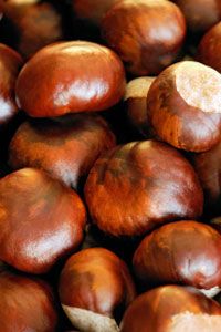 Chestnuts are a great natural food.