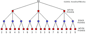 A diagram of a tree looking at there levels