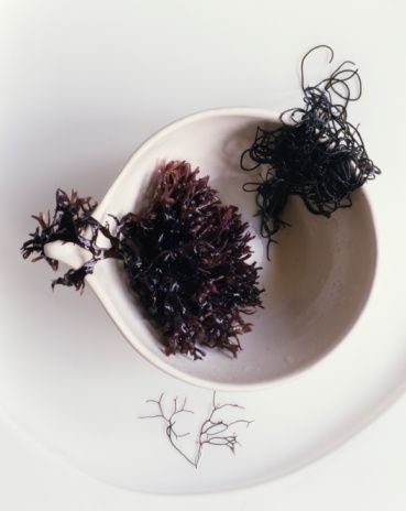 black moss seaweed