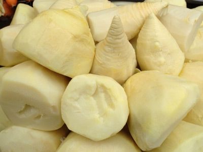 bamboo shoots