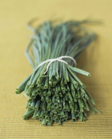 garlic chives