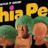 Ch-Ch-Ch-Chia! You Know the Jingle, Now Hear the Chia Pet Story