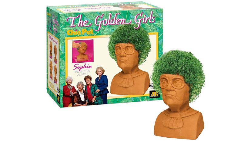 Ch Ch Ch Chia You Know the Jingle Now Hear the Chia Pet Story