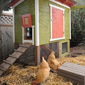 No matter what the size or style of your home, there is a chicken coop that will compliment it nicely.