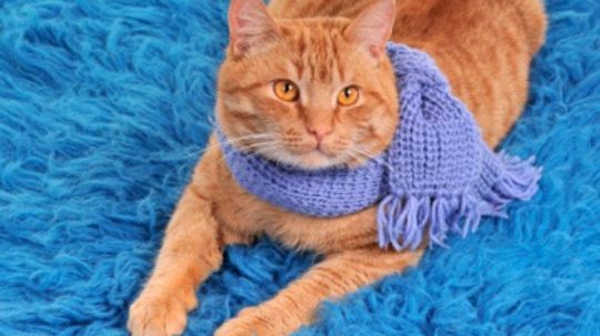 Free Scarf Knitting Patterns