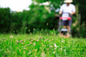 man mowing the lawn