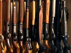 This gun case contains a variety of rifles and shotguns -- how do you know which one is right for you?