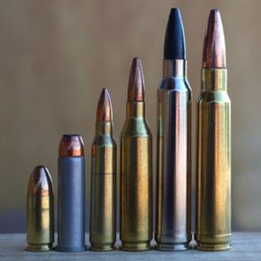 The kind of ammunition you choose will help determine what kind of rifle you should buy.