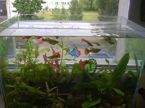 Freshwater aquarium outlet equipment