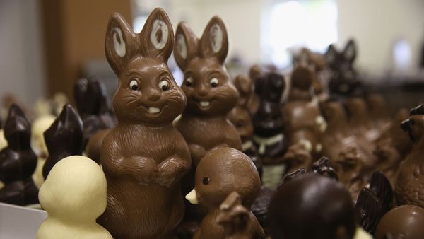 Chocolate Easter bunnies, Germany