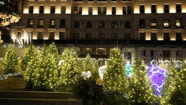 Christmas trees, Park Plaza Hotel