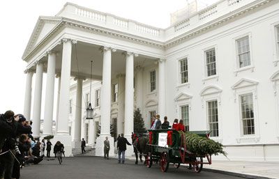 A horse-drawn cart arrives with the National Christmas Tree at the North Portico of the White House on Nov. 27, 2006 in Washington, D.C.