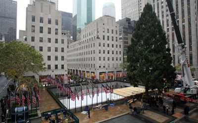 Workers secure into position the annual Rockefeller Center Christmas tree on Nov. 9, 2007 in New York City.