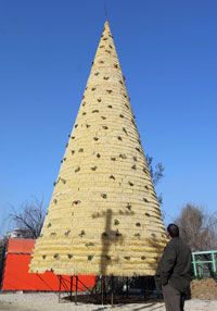 A man looks at a Christmas tree made entirely of spaghettis which was set up in the national park in Tirana, Albania on Dec. 27, 2006. 